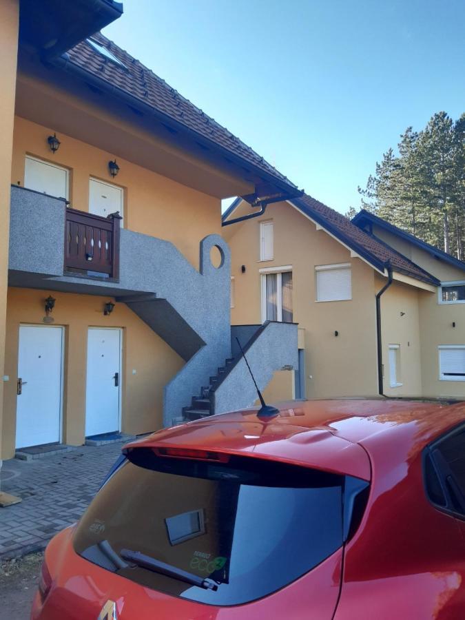 Apartment Nik